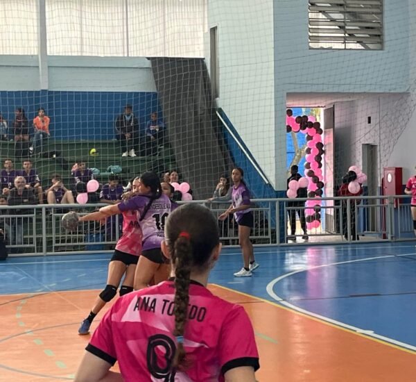 HANDEBOL E AÇÃO